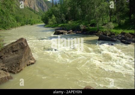 Ein stürmischer Gebirgsfluss fließt in einem schnellen Bach durch den Wald und die felsigen Ufer. Chuya, Altai, Sibirien, Russland. Stockfoto