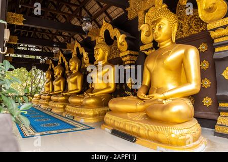 Reihe von Buddha-Statuen im Wat Phra That Doi Phra Chan im Mae Tha District, Lampang, Thailand Stockfoto