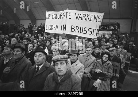 Die Landwirte demonstrieren in den Bosch in Brabanthallen gegen Vorschläge der EWG, die Agrarpreise um 2,4 Prozent zu erhöhen Stockfoto