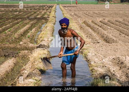 Reparatur des landwirtschaftlichen Bewässerungskanals, der agricalturalen Felder von Punjab, in der Nähe von Amritsar, indien, Südasien, Asien Stockfoto