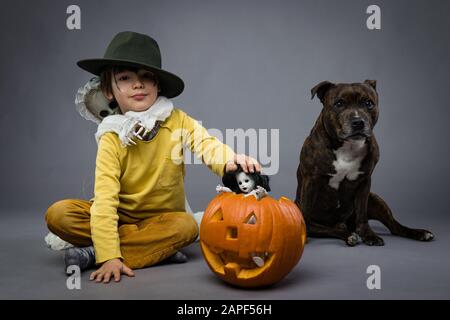 Fröhlicher kleiner Junge in einem Hut hält eine Kürbisse mit grauer Puppe, Hund sitzt neben ihm, auf grauem Hintergrund. Halloween-Feier Stockfoto