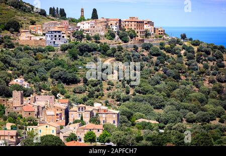 Blick Richtung Occiglioni, Balagne, Korsika Stockfoto