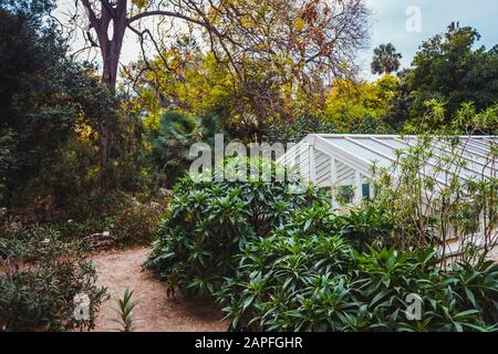 Gewächshaus in einem von Bäumen und Pflanzen umgebenen Garten. Stockfoto