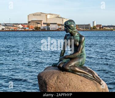 Die Kleine Meerjungfrau (1913) - Bronzeplastik des Bildhauers Edvard Eriksen. Die Meerjungfrau sitzt auf einem Felsen im Hafen von Kopenhagen, Dänemark Stockfoto