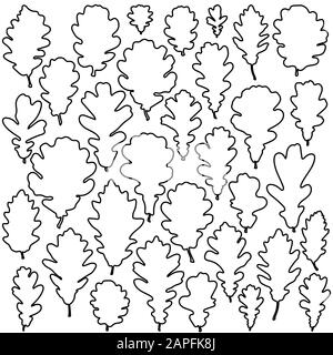 Oak Leaves Outline Set für die Farbgebung Buch Page Vector Stock Vektor