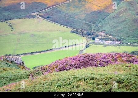 Afon Dyffryn Gwyn Valley, vom Bearded Lake, in der Nähe von Aberdovey, Aberdyfi, Wales Stockfoto