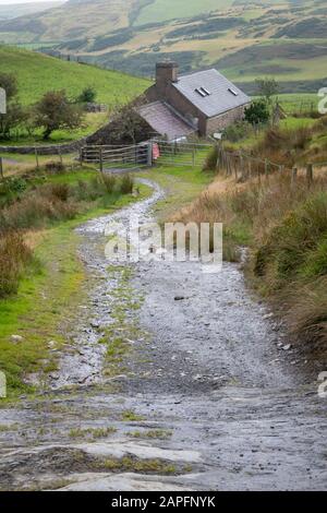 Farm Track und Bauernhaus in der Nähe von Bearded Lake, in der Nähe von Aberdovey, Aberdyfi, Wales Stockfoto