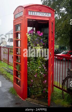 Blumenanzeige im Telefonkasten, Bahnhof Llanuwchllyn, Bala Lake Railway, Bala, Gwynedd, Wales Stockfoto