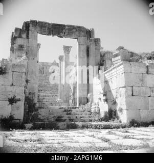 Naher Osten 1950-1955: Jordan Beschreibung: Cathedral Steps in Jerash Datum: 1950 Ort: Jerash, Jordan Keywords: Römische Antiquitäten, Ruinen, Theater, Treppen Stockfoto