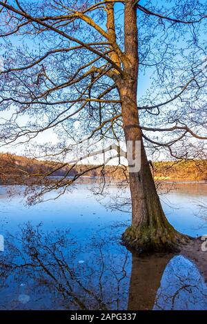 Winterblick Schlachtensee in Berlin. Schlachtensee ist ein See im Südwesten Berlins, im Bezirk Steglitz-Zehlendorf am Rande Stockfoto