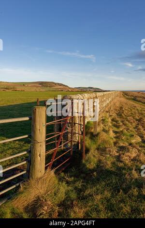 Ein altes rostendes Metallenes Kürassiertor, das in eine Trockensteinmauer gesetzt wurde, um Den Menschen vom Küstenweg aus den Fußweg nach Benholm zu ermöglichen. Stockfoto