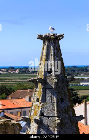 St Martin de Ré, Ile de Ré, Frankreich Stockfoto