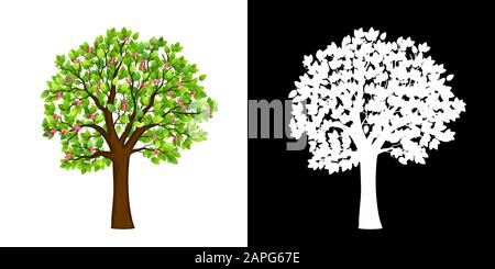 Isolierter Vektor des aufblühenden Frühlingsbaums Stock Vektor