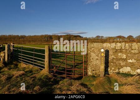 Ein metallenes Bauernhof-Feldtor neben einem alten rostigen Kürassiertor, das in die Trockensteinmauer eingelassen ist und den Zugang zu Rindern und Menschen zum Feld und zu Fuß ermöglicht Stockfoto