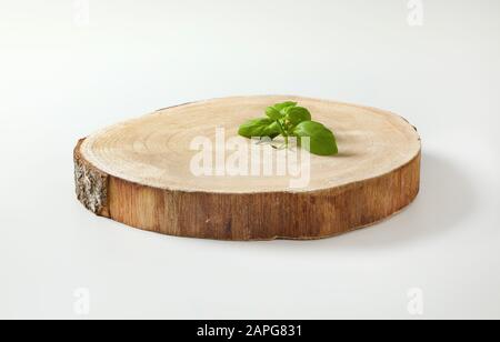 Frische Basilikumblätter auf natürlicher, lebender Kante, runder Holzplatte Stockfoto