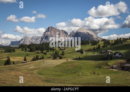 Schöne Panoramalandschaft der felsigen Seiser Alm und breit Weide in Compatsch Italien Stockfoto
