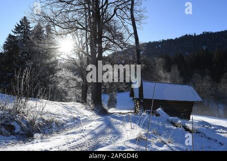 Garmisch Partenkirchen, Deutschland. Januar 2020. Im Wettersteingebirge scheint zwischen Bäumen, die neben einer Holzhütte stehen, die Sonne durch. Credit: Angelika Warmuth / dpa / Alamy Live News Stockfoto