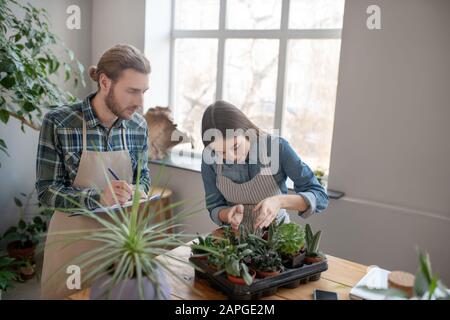 Mann und Frau prüfen Sukkulenten im Pflanzenhaus Stockfoto