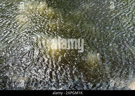 Wellen an der Oberfläche des Wassers Stockfoto