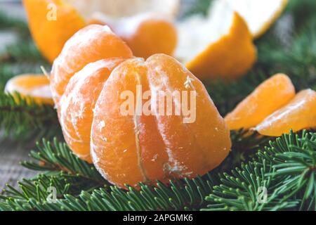 Reife geschälte Scheiben von Tangerin ohne Schale liegen auf den grünen Zweigen eines Weihnachtsbaums. Zitrusfrüchte, Mandarinen oder Orangen. Nahaufnahme. Stockfoto