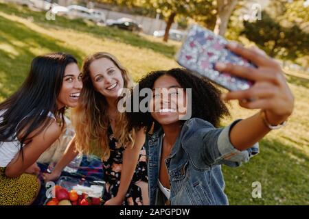Porträt der lächelnden jungen afroamerikanischen Frau, die selfie mit ihren weiblichen Freunden beim Picknick im Park mitnimmt Stockfoto