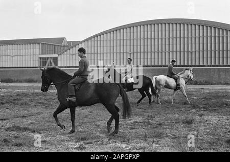 Concours Hippique im RAI-Gebäude. Alle verließen den englischen Meister 1963 Warpoin mit seinem Fahrer Harvey Smith Datum: 31. Oktober 1963 Schlagwörter: CONCOURSEN Institution Name: RAI Stockfoto