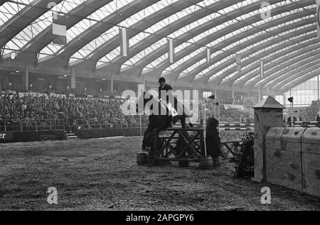 Concours Hippique im Rai-Gebäude. Der Gewinner des großen Preises S. Hayes mit Goodbye aus Irland nimmt Hindernisdatum: 3. November 1963 Schlüsselwörter: Concoursen persönlicher Name: Hayes, S. Institutionenname: RAI Stockfoto