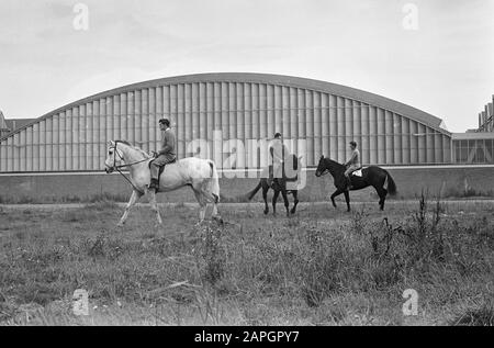 Concours Hippique im RAI-Gebäude. Alle verließen den englischen Meister 1963 Warpoin mit seinem Fahrer Harvey Smith Datum: 31. Oktober 1963 Schlagwörter: CONCOURSEN Institution Name: RAI Stockfoto