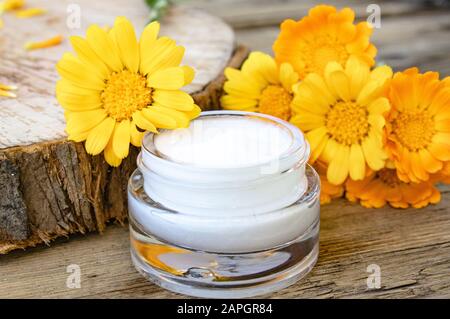 Ein Glas weißer Kosmetikcreme für die Körperpflege. Frische orangefarbene Kalendulablüten auf Holzhintergrund. Medizinische Dermatologie. Stockfoto