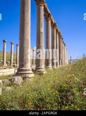 Jordanien. Kolonnaden an der einst Hauptstraße der alten römischen Stadt Jerash unweit der jordanischen Hauptstadt Amman im Nahen Osten Stockfoto