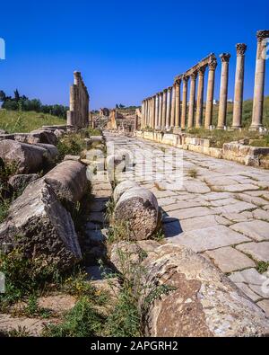 Jordanien. Kolonnaden an der einst Hauptstraße der alten römischen Stadt Jerash unweit der jordanischen Hauptstadt Amman im Nahen Osten Stockfoto