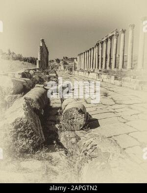 Jordanien. Freistehende Steinkolonnaden in Monochrom an der einstmals Hauptstraße der antiken römischen Stadt Jerash unweit der jordanischen Hauptstadt Amman im Nahen Osten Stockfoto