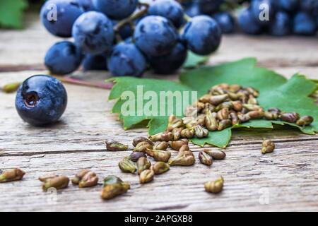 Trauben und Traubensamen auf einem grünen Blatt auf alten Holztafeln. Blaue Traube. Spa, Bio, Öko-Produkte Konzept. Stockfoto