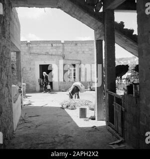 Israel 1964-1965: Daliyat al-Karmel (Dalya el Carmel), Straßenbilder Beschreibung: Daliya al-Carmel. Dorfansicht: Ein Daliyat al-Carmel ist ein Drusian Dorf und Gemeinde im nördlichen Teil Israels, etwa 20 Kilometer von Haifa Datum: 1964 Ort: Daliyat Al-Carmel, Israel Stichwörter: Dorfbilder, Esel, Häuser Stockfoto