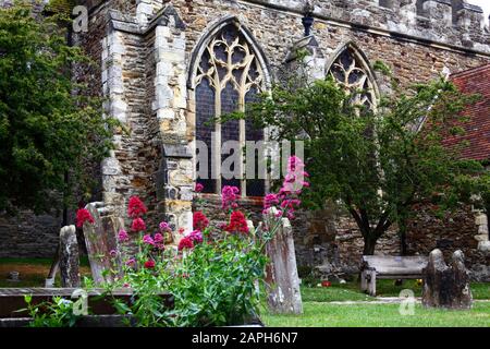 Rosafarbene Blumen und Grabsteine auf dem Kirchhof von St Mildreds, Tenterden, Kent, England Stockfoto