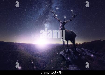 Ein großer Hirsch steht nachts auf einem Felsen. Miclstraße und Sterne im Hintergrund. Glühwürmchen im Vordergrund Stockfoto