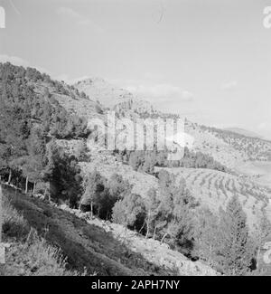 Israel: Nazareth Beschreibung: Mount Leap of the Lord Anmerkung: Mount Leap of the Lord ist auch bekannt als Mount of Niederschlag, Mount Precipice und Mount Kedumim Datum: Undatierter Ort: Galiläa, Israel, Nazareth Schlüsselwörter: Berge, Bäume, Panoramas Stockfoto