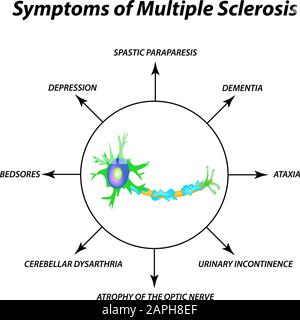 Symptome einer Multiplen Sklerose. Die Zerstörung der Myelinhülle am Axon. Beschädigtes Myelin. Tag Der Multiplen Sklerose Der Welt. Infografiken. Vektor Stock Vektor