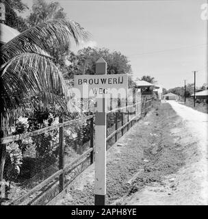 Niederländische Antillen und Suriname zum Zeitpunkt des königlichen Besuchs von Königin Juliana und Prinz Bernhard im Jahr 1955 Beschreibung: Die Brauereistraße in Paramaribo Datum: 1. Oktober 1955 Ort: Paramaribo, Suriname Schlüsselwörter: Namensschilder, Straßenbilder Stockfoto