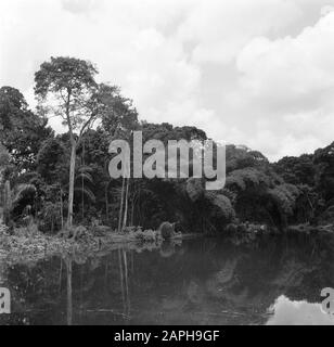 Reisen nach Suriname und die niederländischen Antillen Beschreibung: Der Fluss Coppename in Suriname Datum: 1947 Ort: Suriname Schlüsselwörter: Dschungel, Flüsse Stockfoto
