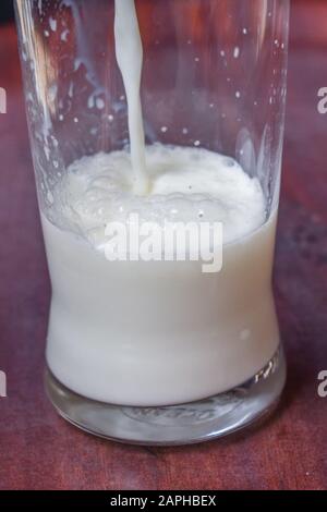Ziegenmilch wird in ein Glas geschüttet, die Milch ist besonders für Kinder in Afrika sehr nahrhaft. Stockfoto