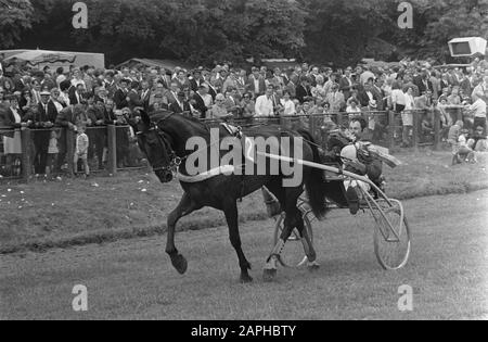 Kurs zum großen Preis der Niedrigen Länder 1970 Beschreibung: Der Franzose J. Roussel gewinnt mit dem Pferd Tatusca d'Avril und macht Ehrenanmerkung: Siehe auch Aktienanzahl NR. 923-6309 bis 923-6317 Datum: 28. Juni 1970 Ort: Den Haag, Duempt, Zuid-Holland Schlagwörter: Tretsport und Rennen, Siege, Pferd und Wagen, Sulky's persönlicher Name: Roussel, J. Stockfoto