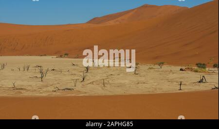 Landschaft der roten Sanddünen von Sossusvlei und der toten Bäume von Deadvlei aus einer Düne mit Fußabdrücken im Sand in Sossusvlei, Namibia Stockfoto