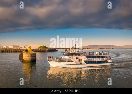 Whale-watching Boot, Reykjavik, Island Stockfoto