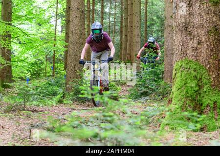 Mountainbike Rider eine mutige bergab auf Waldwegen Stockfoto