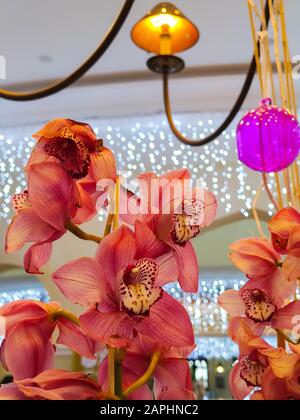 Pink Orchids Cymbidium mit Girlandleuchten auf dem Hintergrund für Valentinstag oder Muttertag oder Frauentag Postkarte oder Hochzeitseinladung Stockfoto