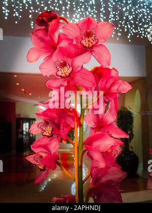 Pink Orchids Cymbidium mit Girlandleuchten auf dem Hintergrund für Valentinstag oder Muttertag oder Frauentag Postkarte oder Hochzeitseinladung Stockfoto