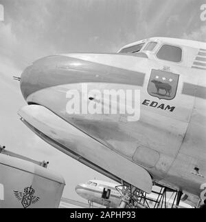 Unternehmensstil und Embleme KLM Beschreibung: Der Name des viermotorigen KLM DC-4-Passagierflugzeugs "Edam" Registrierungsnummer PH-DBE auf dem Flughafen Schiphol Datum: August 1951 Standort: Noord-Holland, Schiphol Schlüsselwörter: Embleme, Logos, Flugzeuge Personenname: Edam Stockfoto