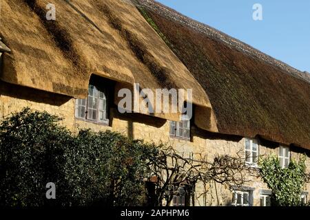 In der Nähe von East Coker, einem Somerset Village in der Nähe von Yeovil. Einige Strohhütten Stockfoto