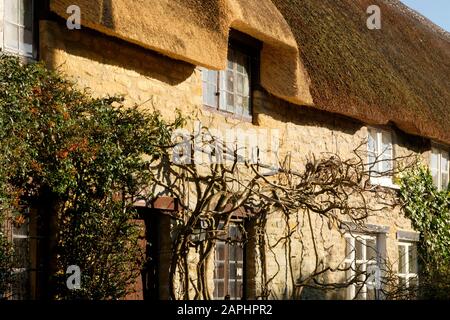 In der Nähe von East Coker, einem Somerset Village in der Nähe von Yeovil. Einige Strohhütten Stockfoto